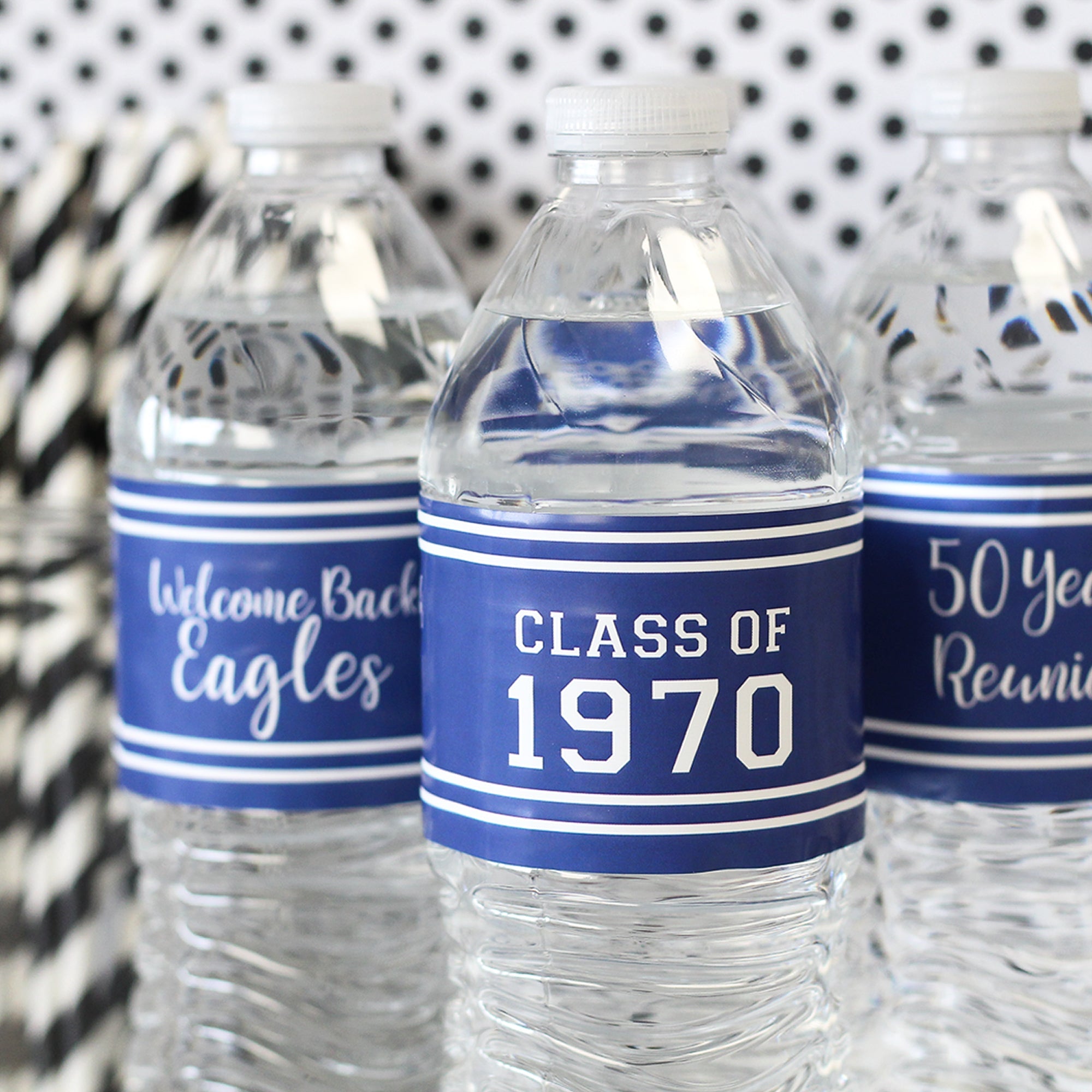 Blue Personalized Class Reunion Water Bottle Label Stickers
